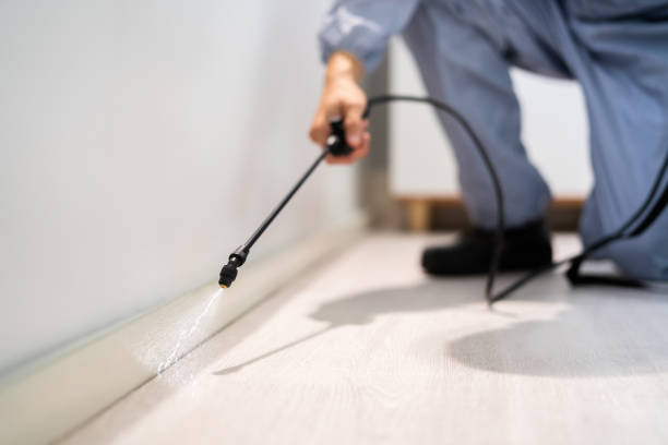 Licensed Mosquito Control service in Ogden, UT - Nex Pest Control