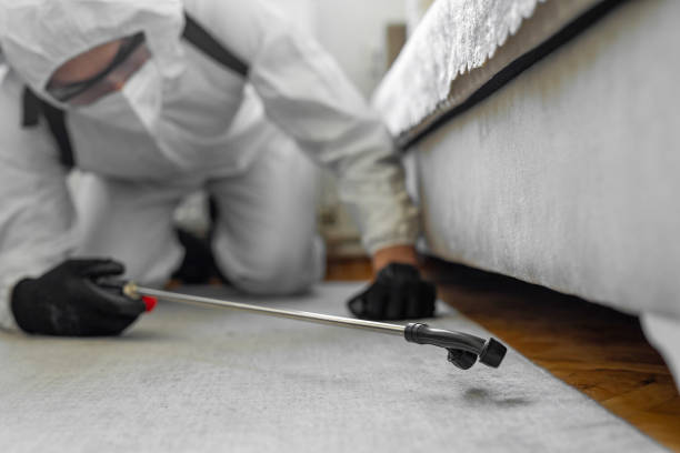 Professional Mosquito Control technician working in Ogden, UT