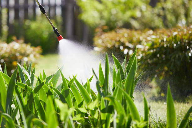 24/7 Emergency Mosquito Control experts in Ogden, UT