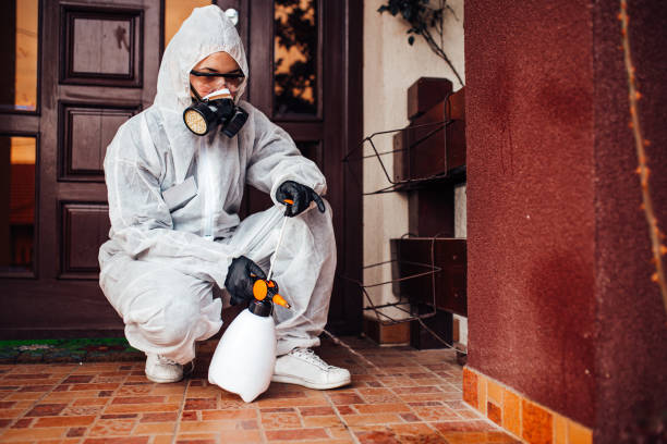 Reliable Mosquito Control contractor in Ogden, UT by Nex Pest Control